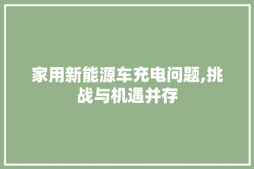 家用新能源车充电问题,挑战与机遇并存