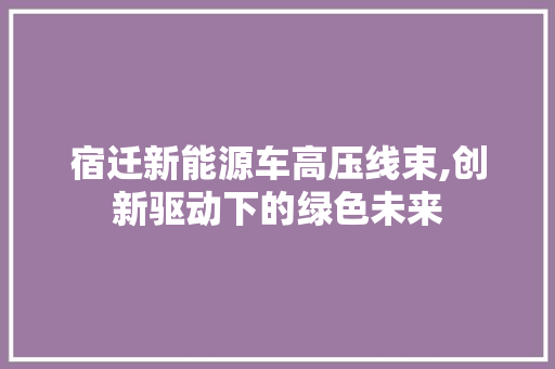 宿迁新能源车高压线束,创新驱动下的绿色未来