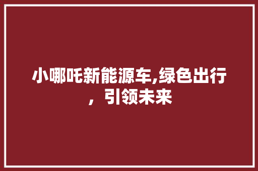 小哪吒新能源车,绿色出行，引领未来