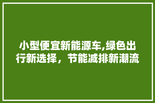 小型便宜新能源车,绿色出行新选择，节能减排新潮流