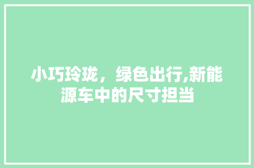 小巧玲珑，绿色出行,新能源车中的尺寸担当
