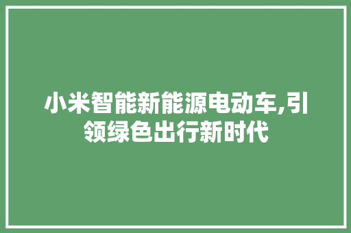 小米智能新能源电动车,引领绿色出行新时代