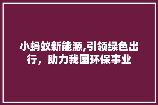 小蚂蚁新能源,引领绿色出行，助力我国环保事业