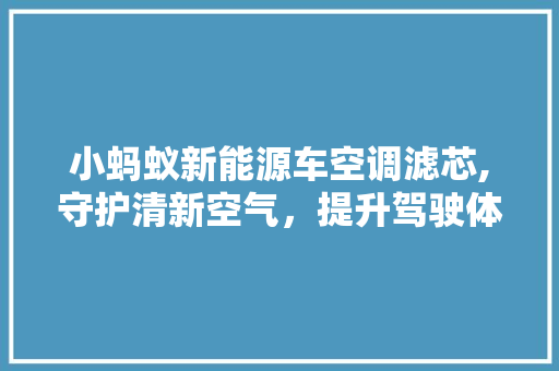 小蚂蚁新能源车空调滤芯,守护清新空气，提升驾驶体验