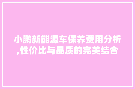 小鹏新能源车保养费用分析,性价比与品质的完美结合
