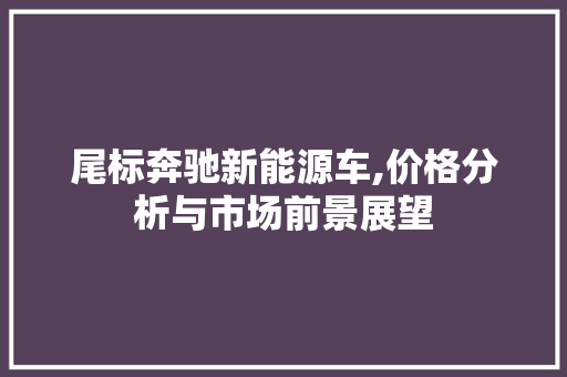 尾标奔驰新能源车,价格分析与市场前景展望