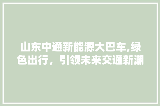 山东中通新能源大巴车,绿色出行，引领未来交通新潮流