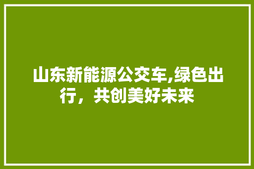 山东新能源公交车,绿色出行，共创美好未来