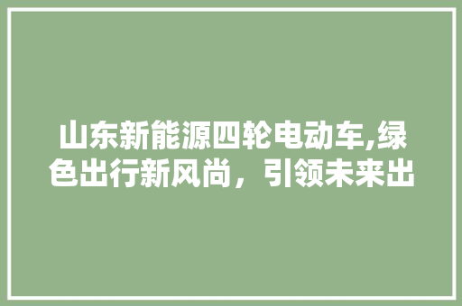 山东新能源四轮电动车,绿色出行新风尚，引领未来出行潮流
