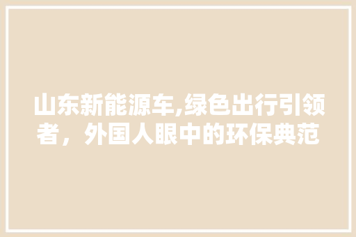 山东新能源车,绿色出行引领者，外国人眼中的环保典范