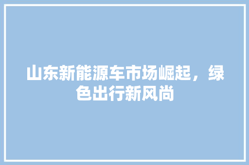 山东新能源车市场崛起，绿色出行新风尚