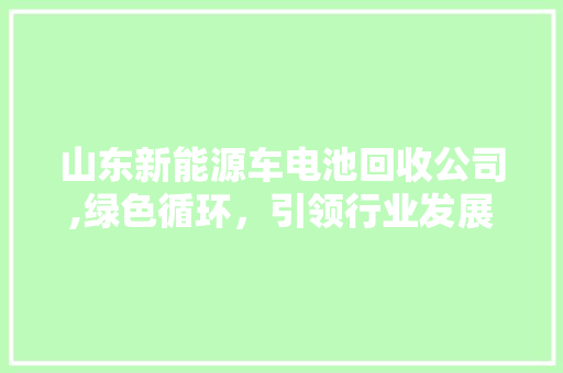 山东新能源车电池回收公司,绿色循环，引领行业发展新潮流