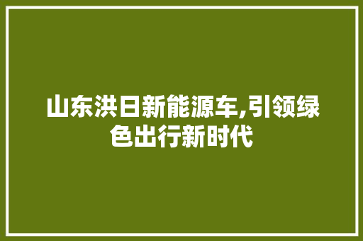 山东洪日新能源车,引领绿色出行新时代 发动机配件