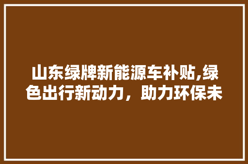 山东绿牌新能源车补贴,绿色出行新动力，助力环保未来