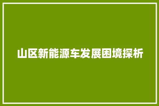 山区新能源车发展困境探析