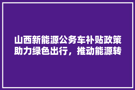 山西新能源公务车补贴政策助力绿色出行，推动能源转型