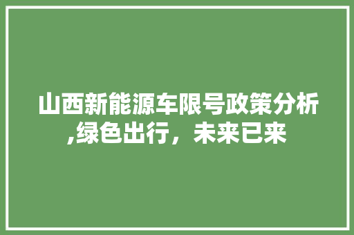 山西新能源车限号政策分析,绿色出行，未来已来
