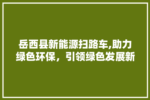 岳西县新能源扫路车,助力绿色环保，引领绿色发展新潮流 汽车配件