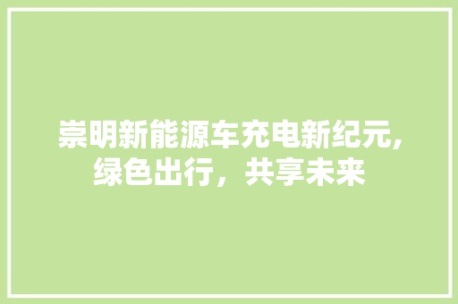 崇明新能源车充电新纪元,绿色出行，共享未来