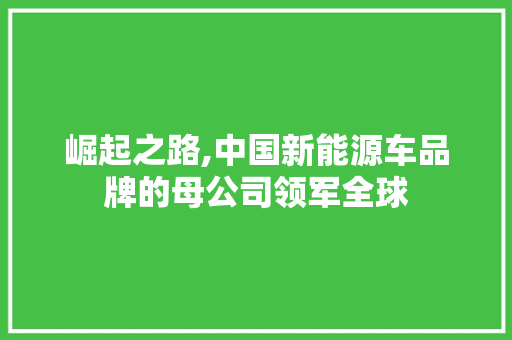崛起之路,中国新能源车品牌的母公司领军全球