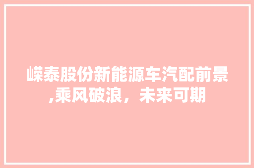 嵘泰股份新能源车汽配前景,乘风破浪，未来可期 底盘配件