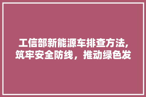 工信部新能源车排查方法,筑牢安全防线，推动绿色发展