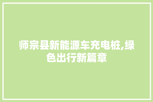 师宗县新能源车充电桩,绿色出行新篇章 变速箱配件