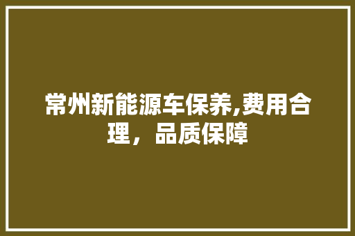 常州新能源车保养,费用合理，品质保障