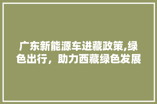 广东新能源车进藏政策,绿色出行，助力西藏绿色发展