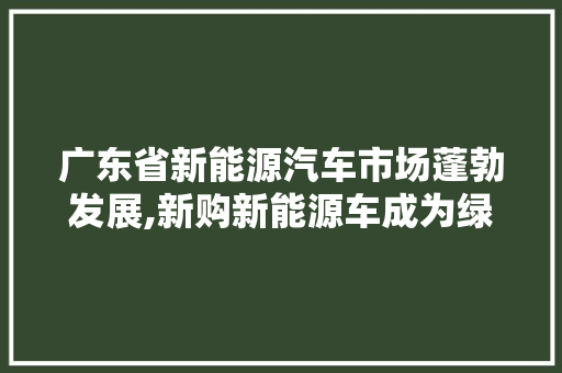 广东省新能源汽车市场蓬勃发展,新购新能源车成为绿色出行新风尚