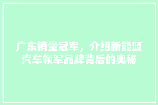 广东销量冠军，介绍新能源汽车领军品牌背后的奥秘