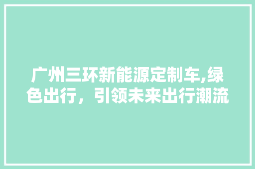 广州三环新能源定制车,绿色出行，引领未来出行潮流