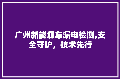 广州新能源车漏电检测,安全守护，技术先行 新款车型