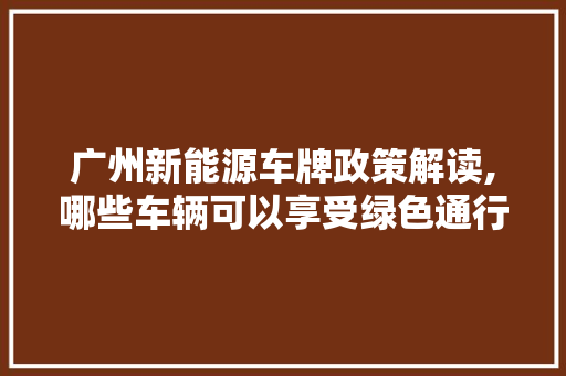 广州新能源车牌政策解读,哪些车辆可以享受绿色通行