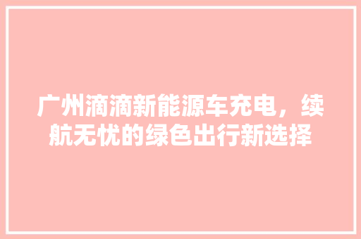 广州滴滴新能源车充电，续航无忧的绿色出行新选择