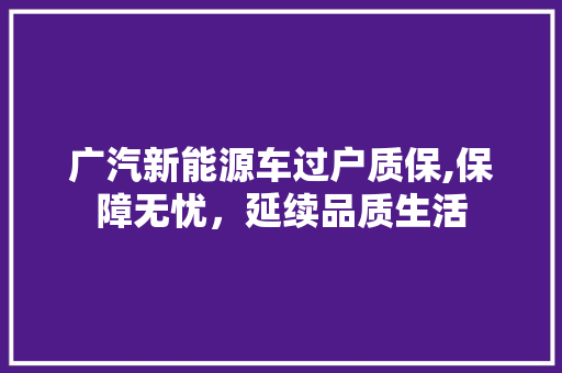 广汽新能源车过户质保,保障无忧，延续品质生活