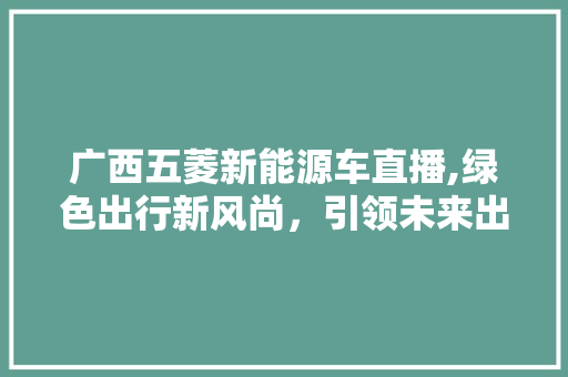 广西五菱新能源车直播,绿色出行新风尚，引领未来出行潮流