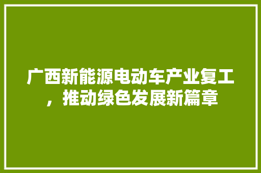 广西新能源电动车产业复工，推动绿色发展新篇章
