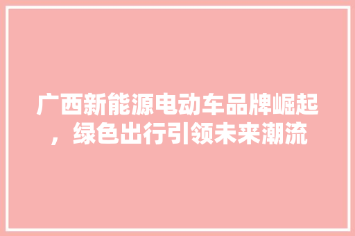 广西新能源电动车品牌崛起，绿色出行引领未来潮流