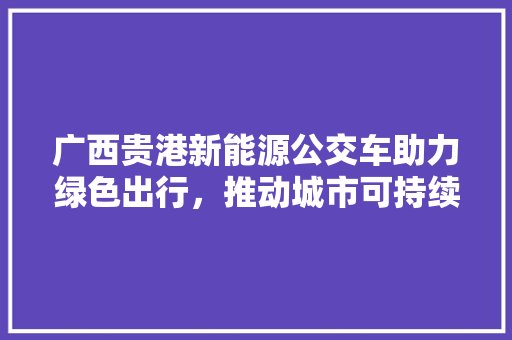 广西贵港新能源公交车助力绿色出行，推动城市可持续发展