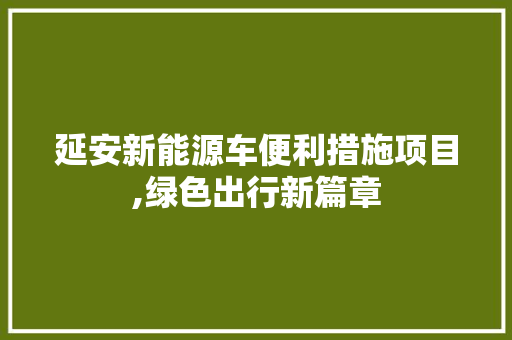 延安新能源车便利措施项目,绿色出行新篇章
