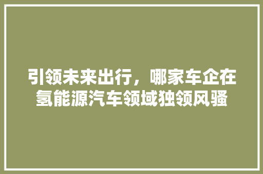 引领未来出行，哪家车企在氢能源汽车领域独领风骚
