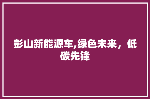 彭山新能源车,绿色未来，低碳先锋
