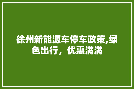 徐州新能源车停车政策,绿色出行，优惠满满