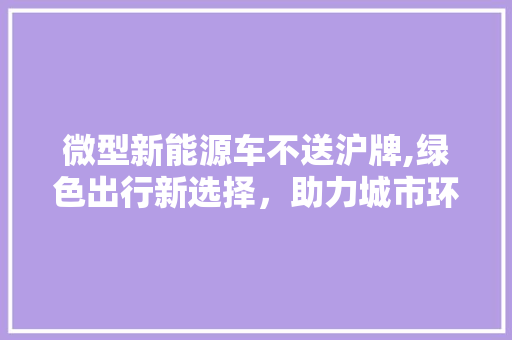 微型新能源车不送沪牌,绿色出行新选择，助力城市环保发展