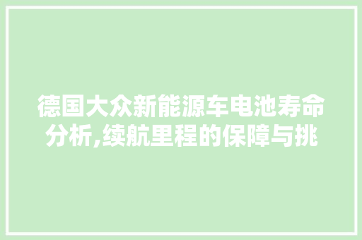 德国大众新能源车电池寿命分析,续航里程的保障与挑战 新款车型