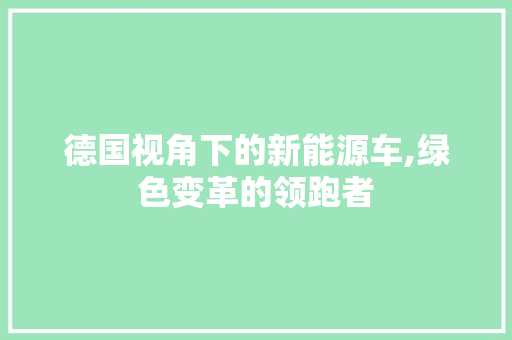 德国视角下的新能源车,绿色变革的领跑者