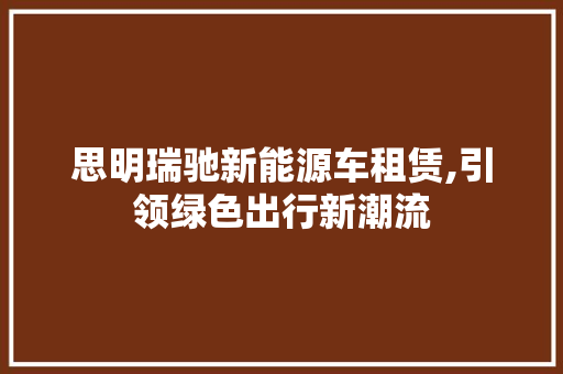 思明瑞驰新能源车租赁,引领绿色出行新潮流 车身配件