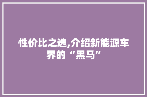性价比之选,介绍新能源车界的“黑马”