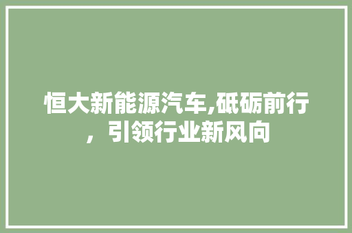 恒大新能源汽车,砥砺前行，引领行业新风向